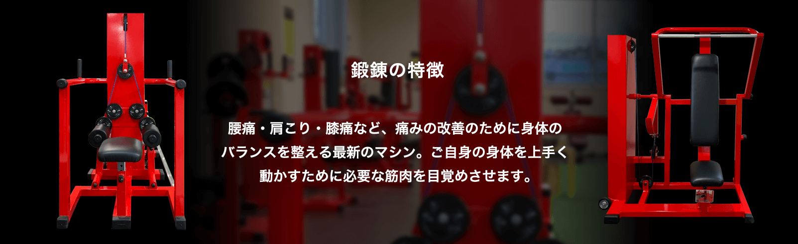 鍛錬の特徴　腰痛・肩こり・膝痛など、痛みの改善のために身体のバランスを整える最新のマシン。ご自身の身体を上手く動かすために必要な筋肉を目覚めさせます。